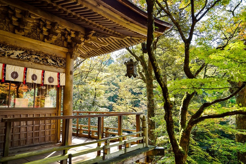Enchanted Destinations
