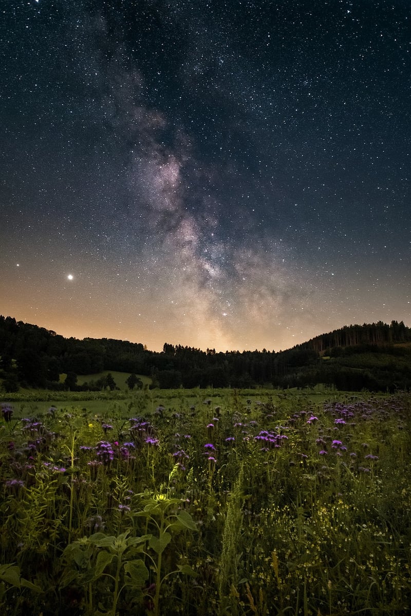 Galactic Connections